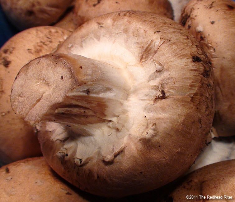 Eat Mushrooms Daily And Gain Health Benefits 8 Proven Benefits